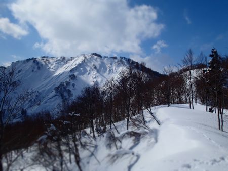 satoyama (4).jpg
