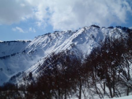 satoyama (5).jpg