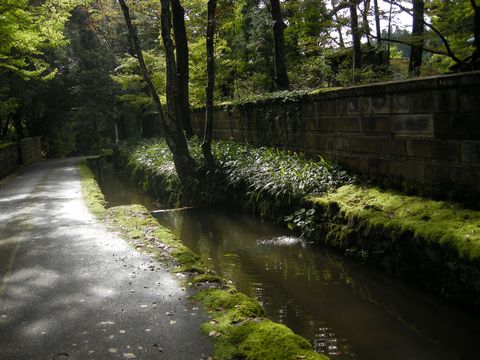 teikan 041.jpg