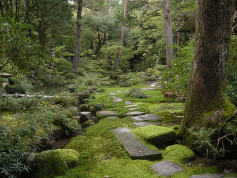 teikan 054.jpg