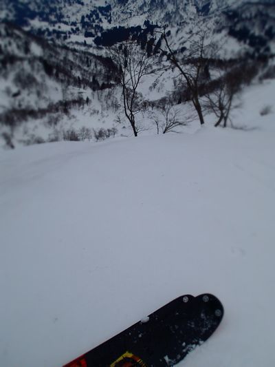 サトー山 (3).jpg