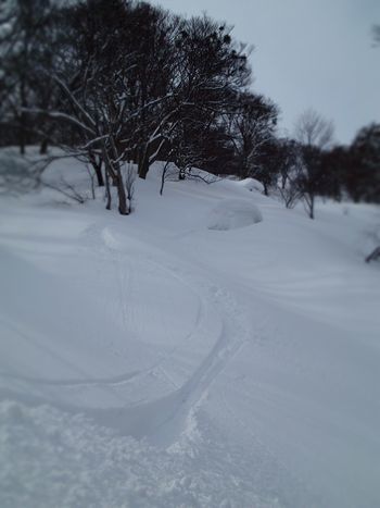 サトー山 (5).jpg