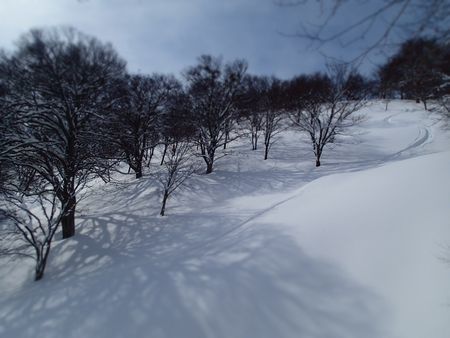 サトー山 (6).jpg
