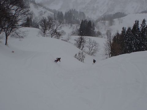 VEC (1).JPG