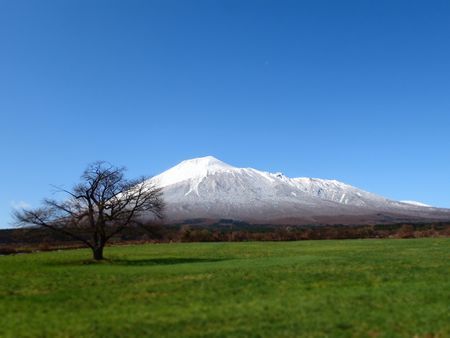フリースキートリップ (2).jpg