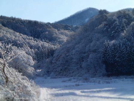 小雪.jpg