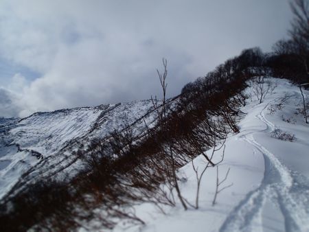 小雪 (2).jpg