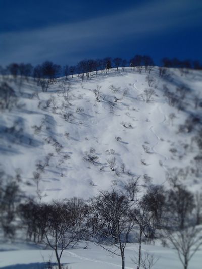 最近 (2).jpg