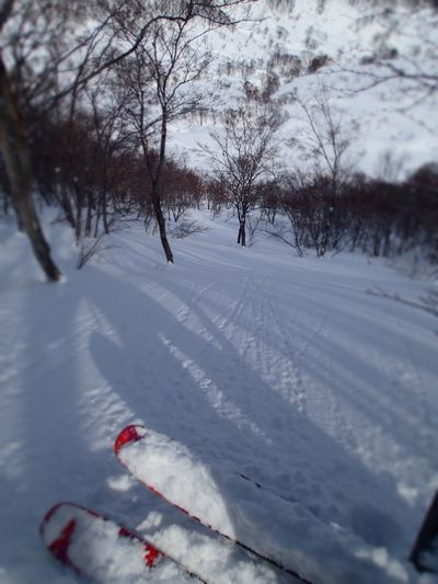 最近 (4).jpg