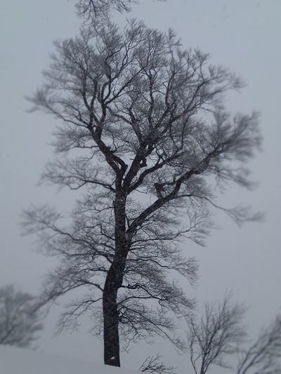 最近 (6).jpg