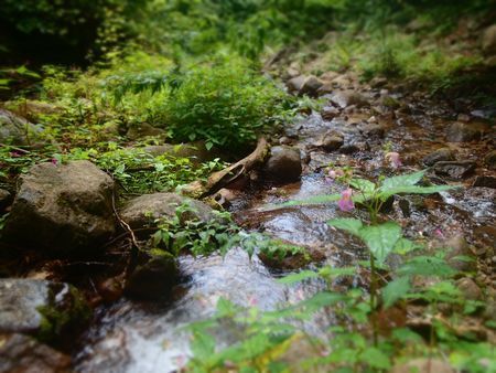 肘叩き (1).jpg