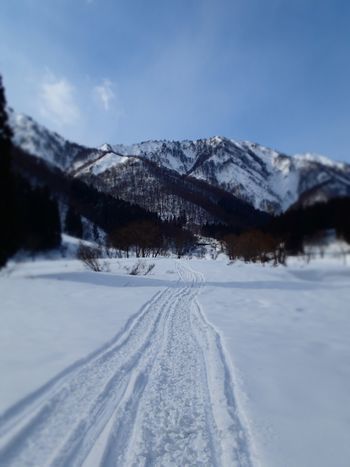 裏山 (2).jpg