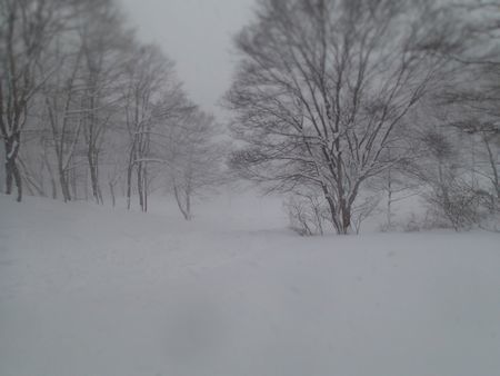 豪雪 (1).jpg