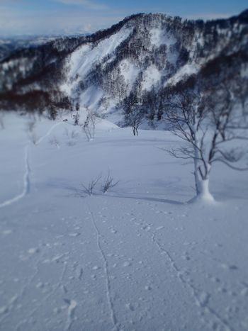 開拓 (2).jpg