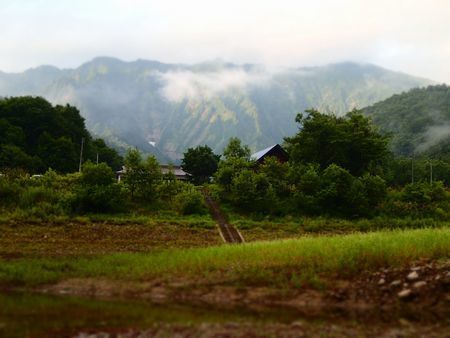 雨虹 (2).jpg
