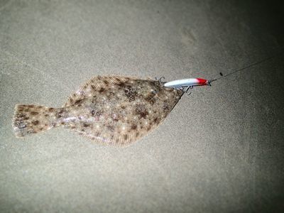 🎣キャンプ (1).jpg