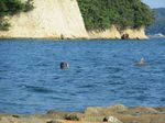IMG_5426.jpg