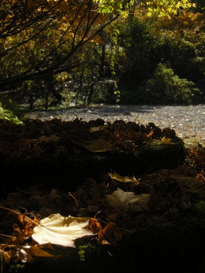 M 050.jpg