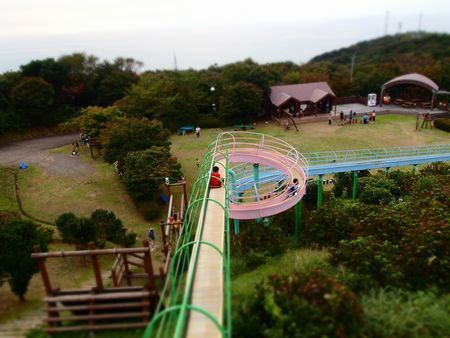 P9230044.jpg
