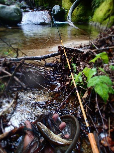 TENKARA (4).jpg