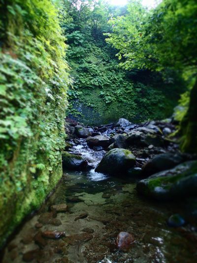 TENKARA (5).jpg