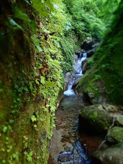 TENKARA (7).jpg