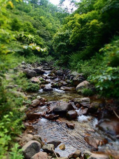 TENKARA8.jpg