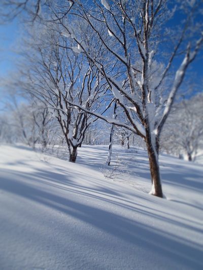 okusinnetu (2).jpg