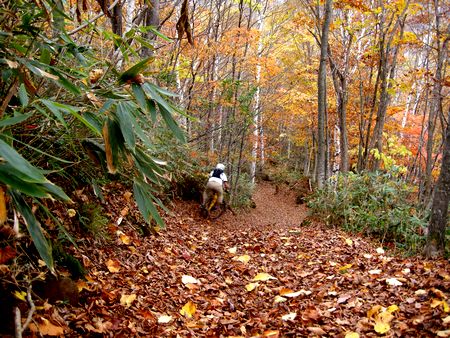 trail 019.jpg